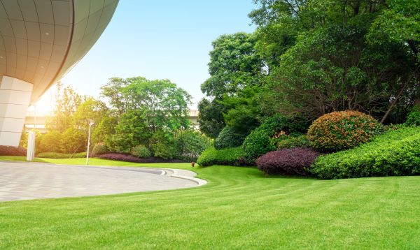 Cost of Commercial Shrub Trimming in Shawnee