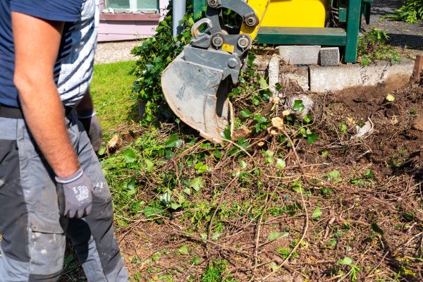 Cost of Hedge Removal Service in Shawnee