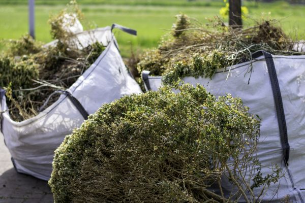 Cost of Shrubs Removal in Shawnee