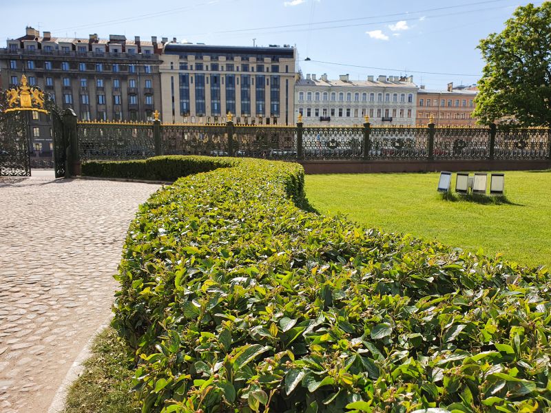 Shrubs Removal detail