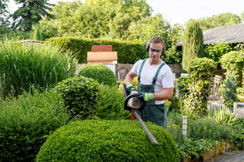 Trimming in a residential yard