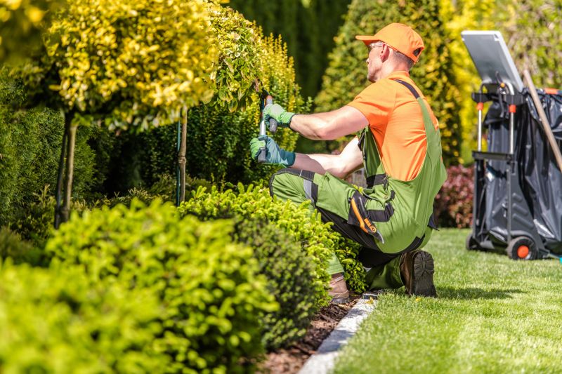 Seasonal shrub care